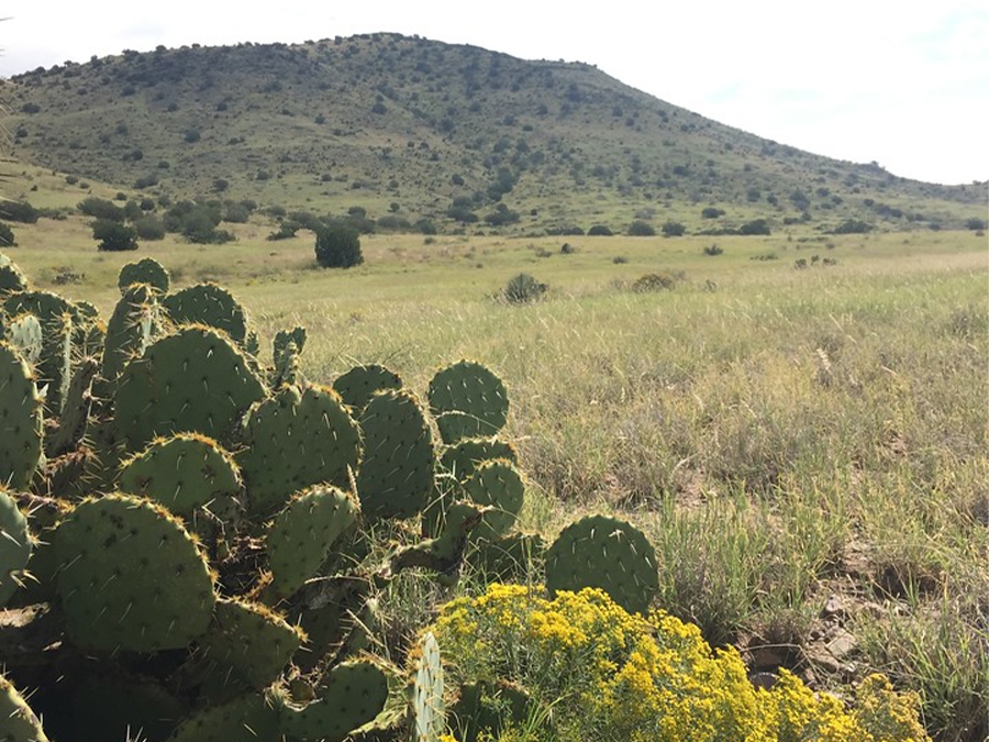 El Congreso incrementa los fondos para el LWCF en 2020, pero no otorga financiamiento total y permanente